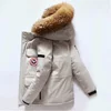 /product-detail/high-quality-plus-size-hooded-mens-duck-feather-woodland-winter-down-jackets-62168285288.html