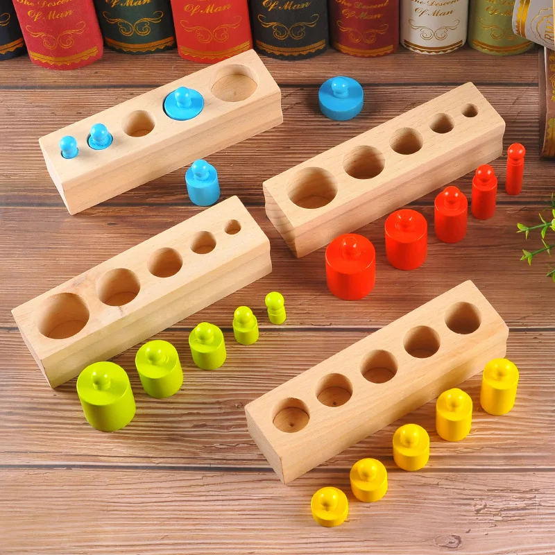 Montessori Colorful Wooden Knob Cylinder Socket Early Home School Education Toy