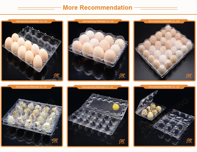 Egg tray more recommendation.png