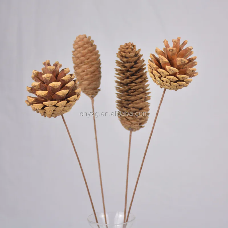 Dried Flower Natural Pine Cone Handmade Decorative Dried Flower Decors Beautiful 
