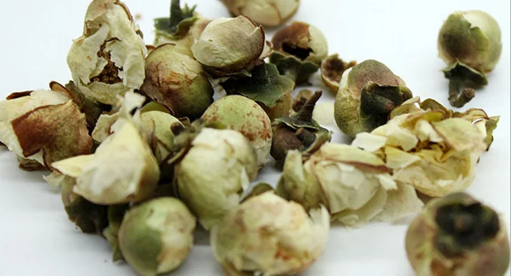 4012 Xuelianhua Organic Chinese Natural Herbal Snow Lotus Herb - 4uTea | 4uTea.com