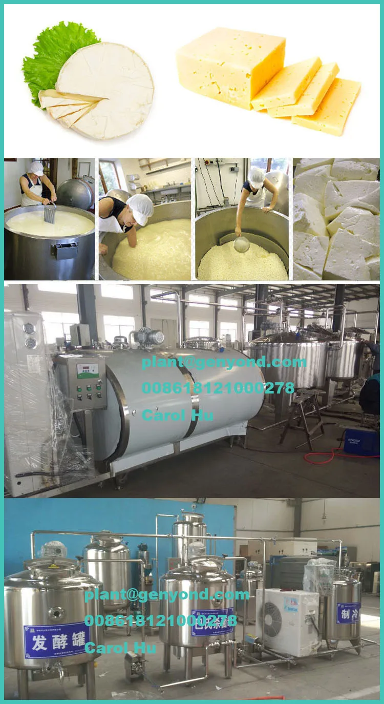 Stainless Steel 304l Mozzarella Cheese Production Line Buy Mozzarella Cheese Production Line