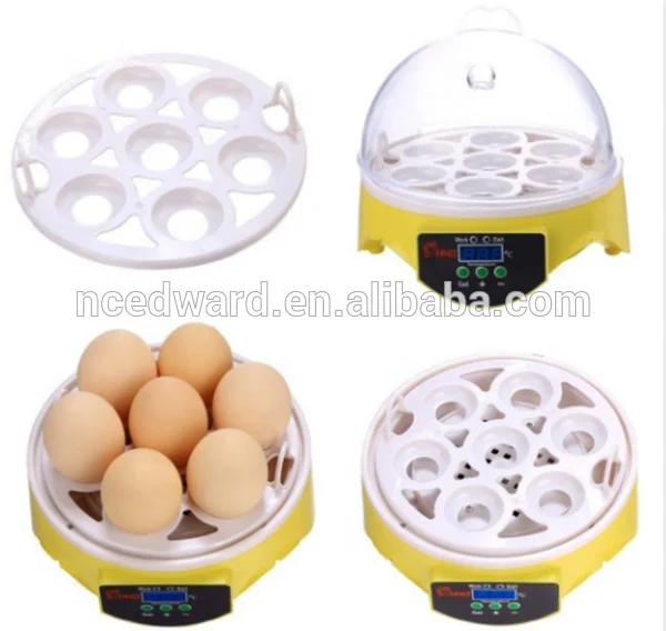 Hhd Small Sized Professional Equipment Incubator 7 Eggs Hatching