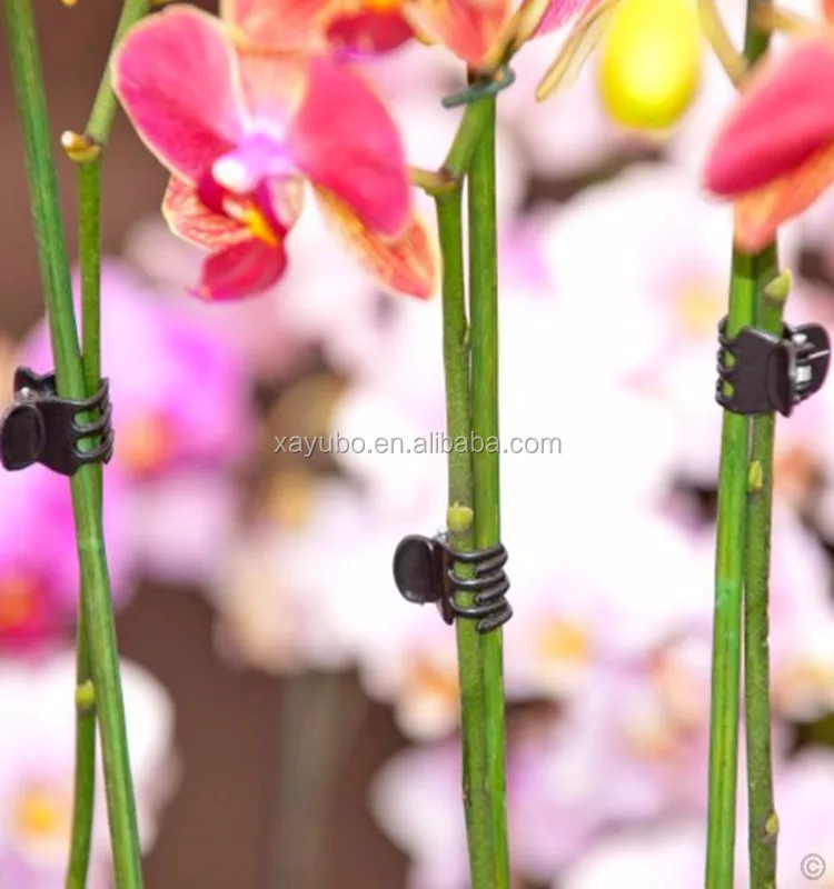 Plastic Plant Support Clips Orchid Stem Clip For Vine Support