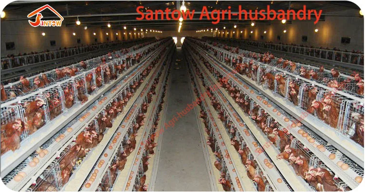 Hot Galvanized Chicken Poultry Cages Cold Galvanized Chicken Layer Cage Best Quality For Sale Nigeria Africa