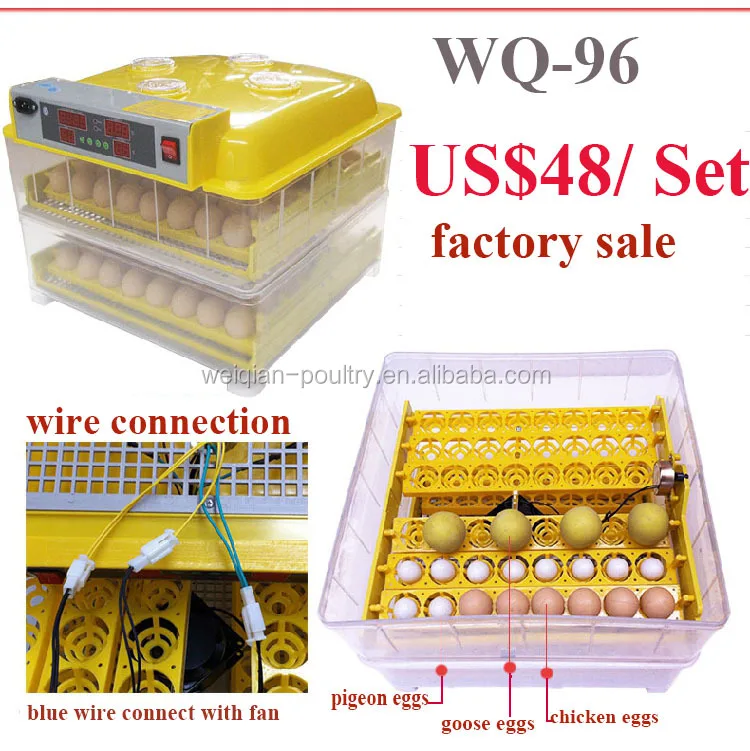 Wq-96 China Wholesale Or Retail Egg Incubator In Dubai ...