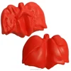 Customized oragans stress ball red Lung shape stress ball