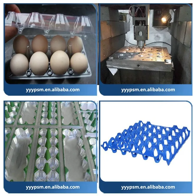 Plastic Egg Tray Mold/egg Container Mould/injection Tray Moulds For