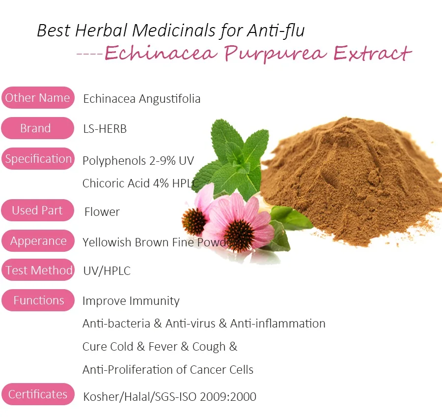 pabrik pasokan echinacea ekstrak echinacea purpurea pabrik pasokan echinacea ekstrak echinacea purpurea