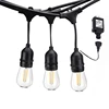 Waterproof Low Voltage Powered Led String Lights for Wedding