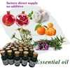 No side effects essential oil new product seabuckthorn seed nature oils