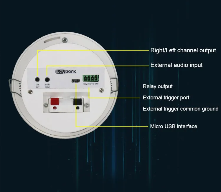 ceiling speaker (4).jpg