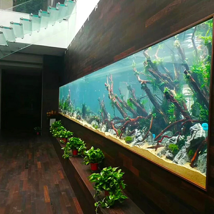 home aquarium fish