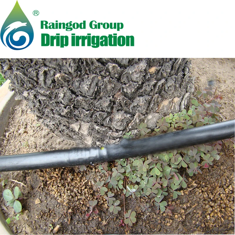 Agricultural Irrigation Drip / Drip Belt Buy Irrigation Drip,Drip