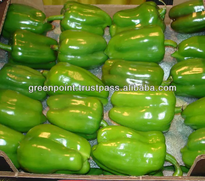 
Green Capsicum 