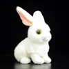 Custom fine quality wild rabbit plush toy long ear plush stuffed rabbit toy