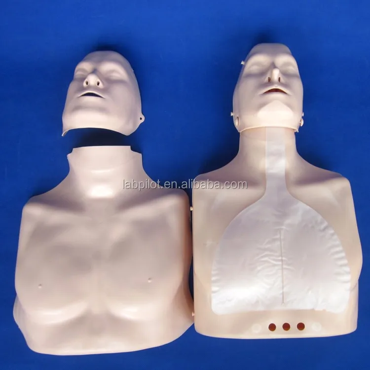 New Simple Type Bust Cpr Halfbody Cpr Training Manikin Buy Halfbody