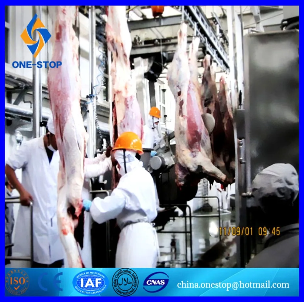 Halal Slaughter Design Sheep Abattoir Slaughterhouse Reverse Case