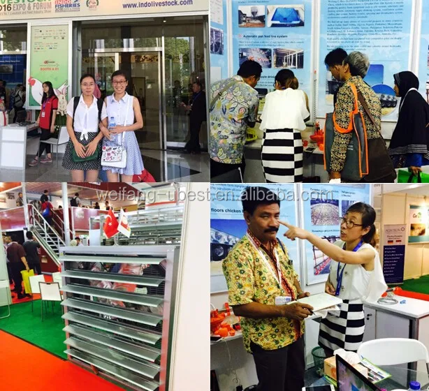 Indonesia Livstock Expo