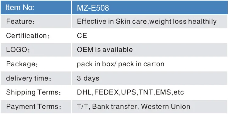 MZ-E508 01.jpg