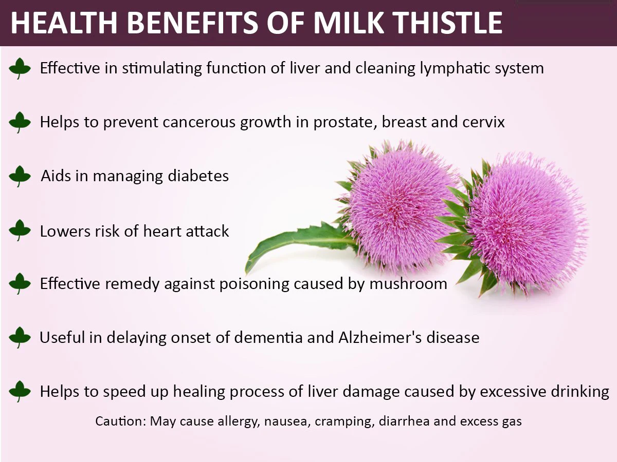 Pharmaceutical Grade Silymarin Powder/milk Thistle Extract 80 Silybin