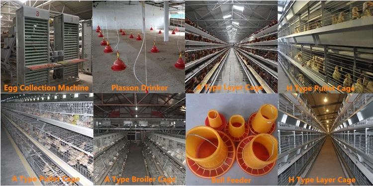 Our Main Products.png