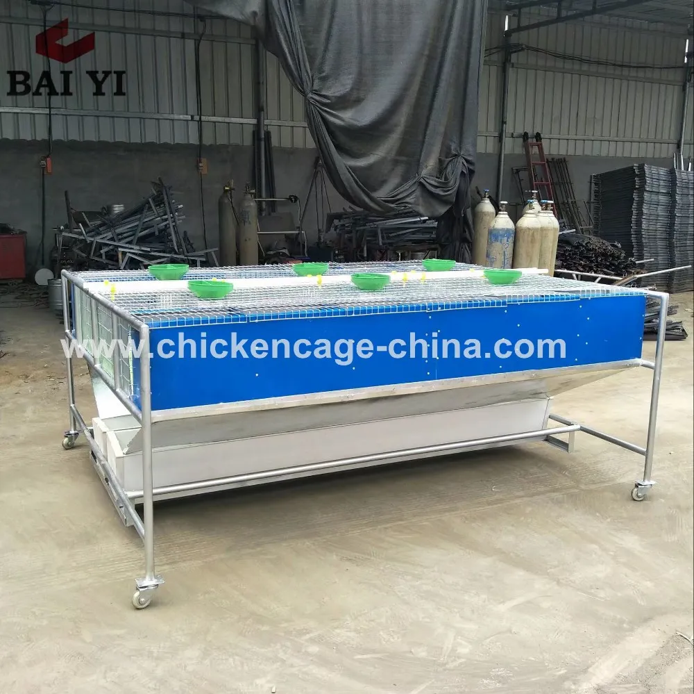 Easy Clean Rabbit Cage In Kenya Farm With Plastic Rabbit Cage Trays