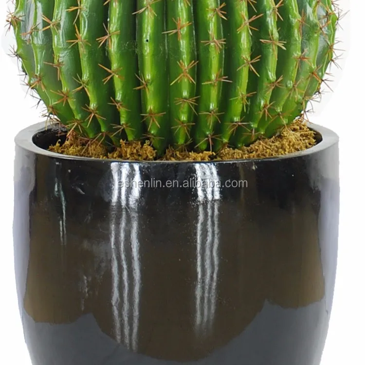 大型サボテン屋内植物 サボテン鉢植え人工屋外屋内サボテンの木 Buy 大サボテン屋内植物 屋内サボテン木 サボテン木 Product On Alibaba Com