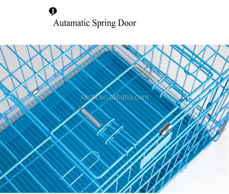 Spring door.jpg