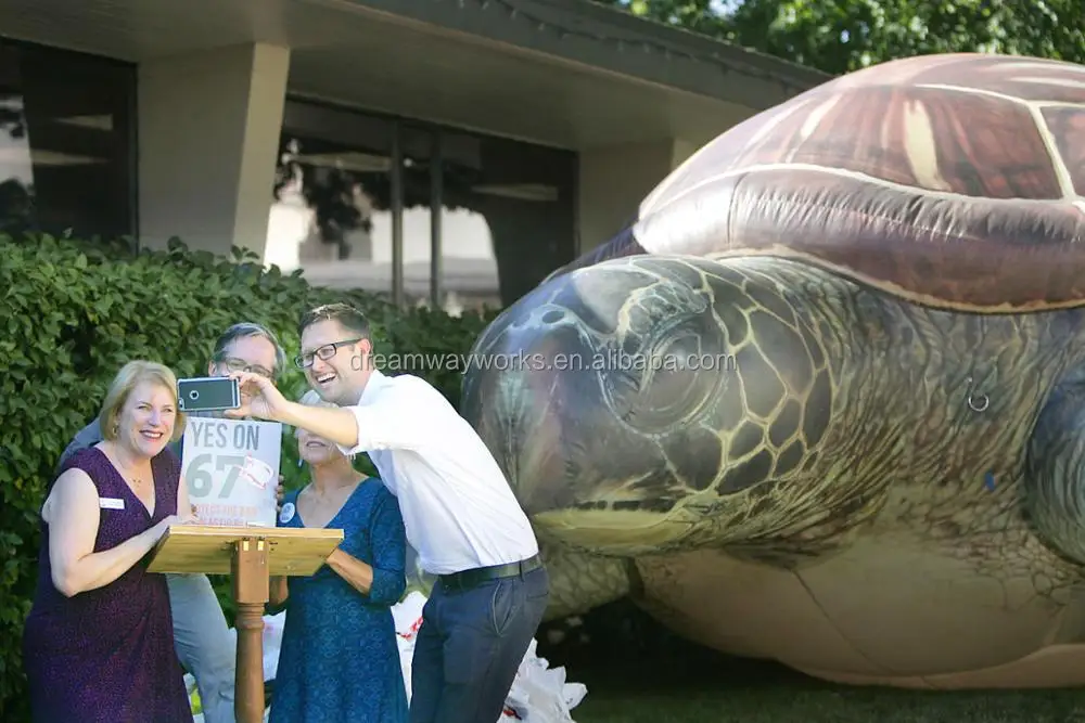 turtle 2.jpg