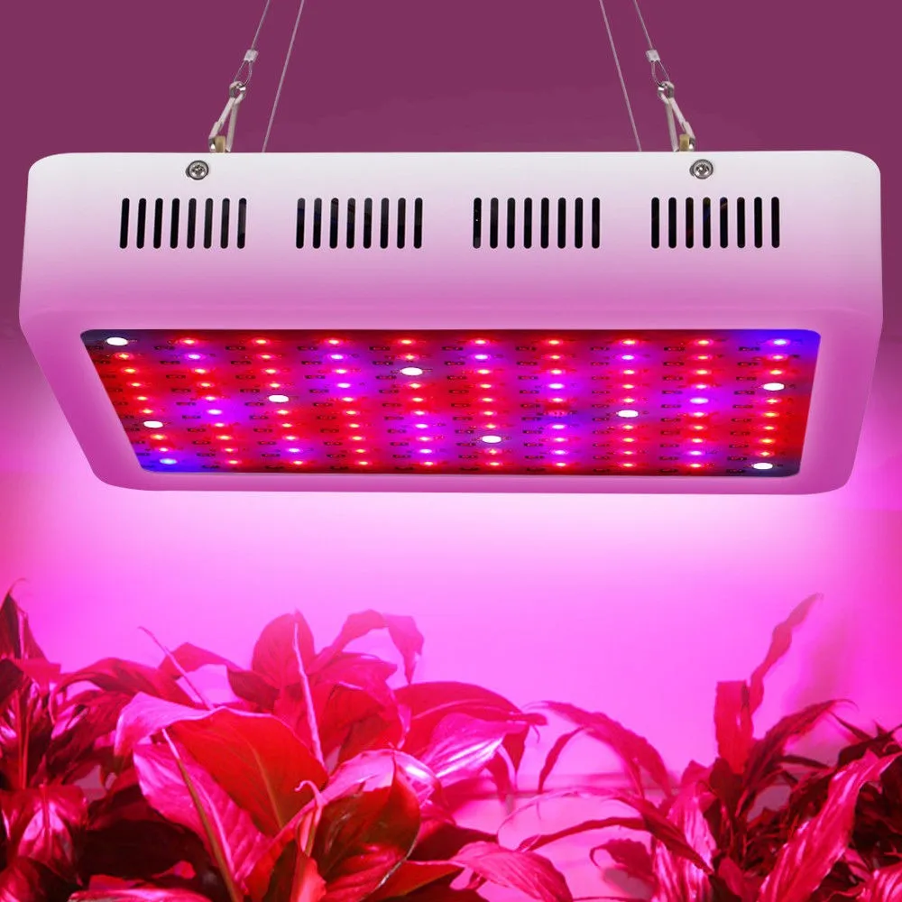 Double Chip Manufacturer Plant Growth Cheap 600W Sale 1000W 1200W Kit Advanced Platinum Series Grow Light Led