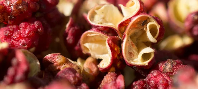 high quality natural food herbs organic red szechuan pepper for