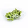 Eco Friendly Food grade PLA PET Plastic Fruit Packaging Container Portable Clamshell Packing For Fruit Grape Packaging Box