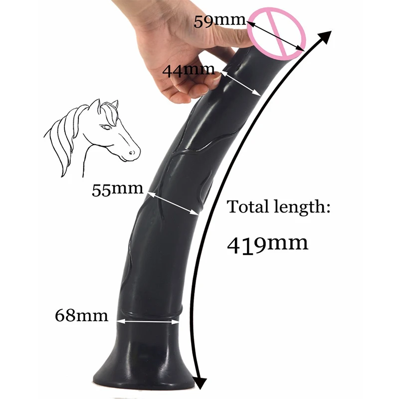 Horse size average cock Horse Height