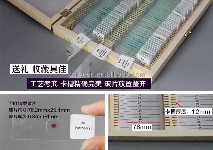 Most popular 100pieces Slide Storage wooden microscope slides box