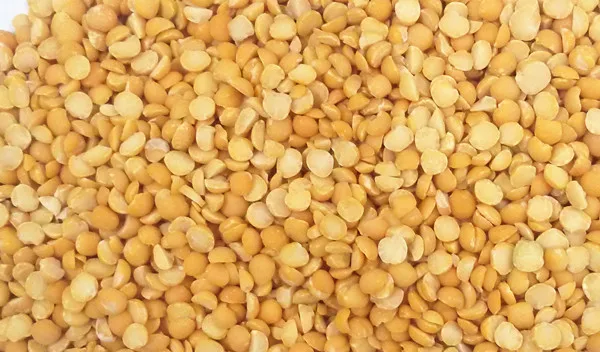soybean .jpg