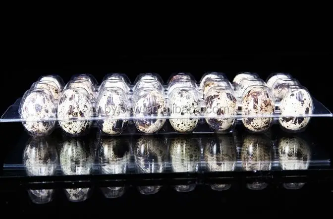 quail egg carton07.jpg