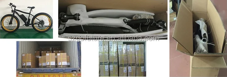 electric bicycle 48v 500w fatbike electric hero bikes price 2016