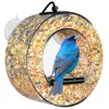 Custom Round Acrylic Circular Design Window Hanging Bird Feeder Wholesale Bird Seed Feeder for Sale