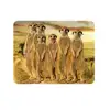 kitchenware lion fridge magnet 3d lenticular printing