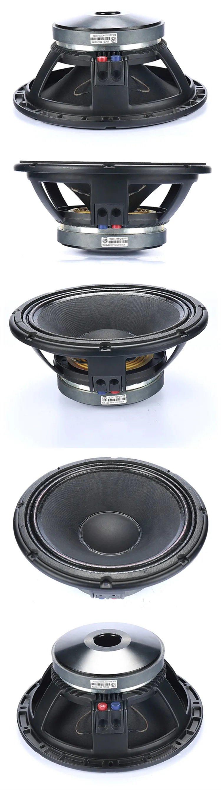 Bas pas. RCF 12 inch Speaker.