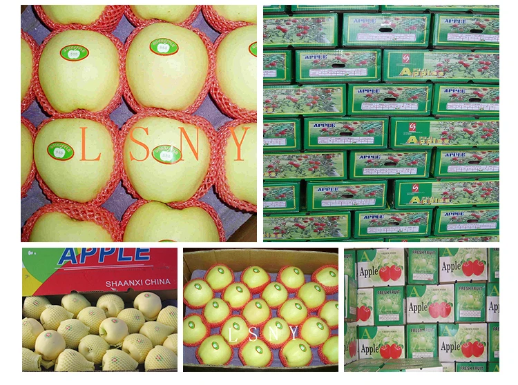 Hot Sale China Fresh Fruit Golden Delicious Apples Buy Fresh Fruit Golden Delicious Apples