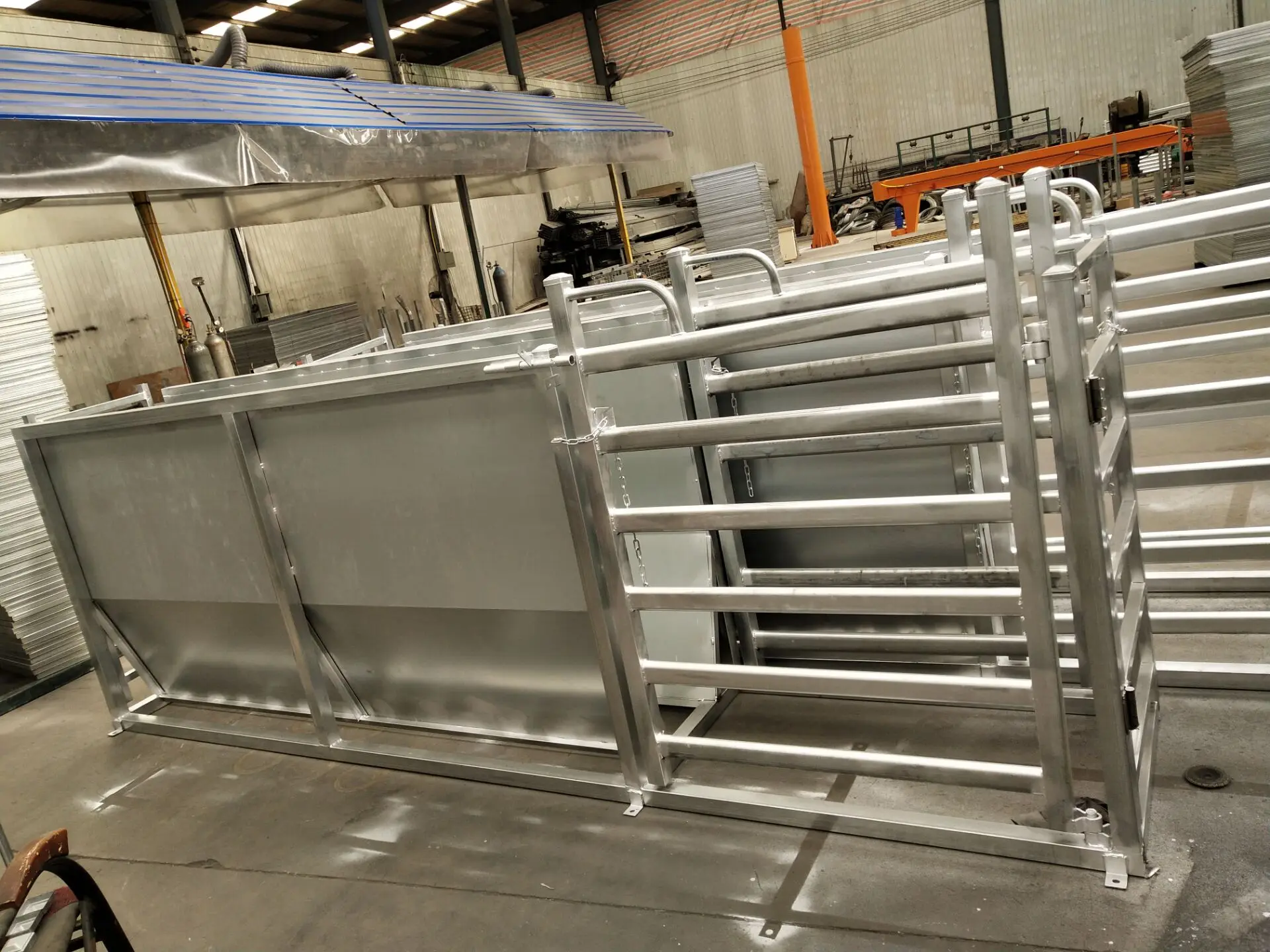 3ml Of Galvanized Three Way Sheep Draft Race Buy Sheep Three Way