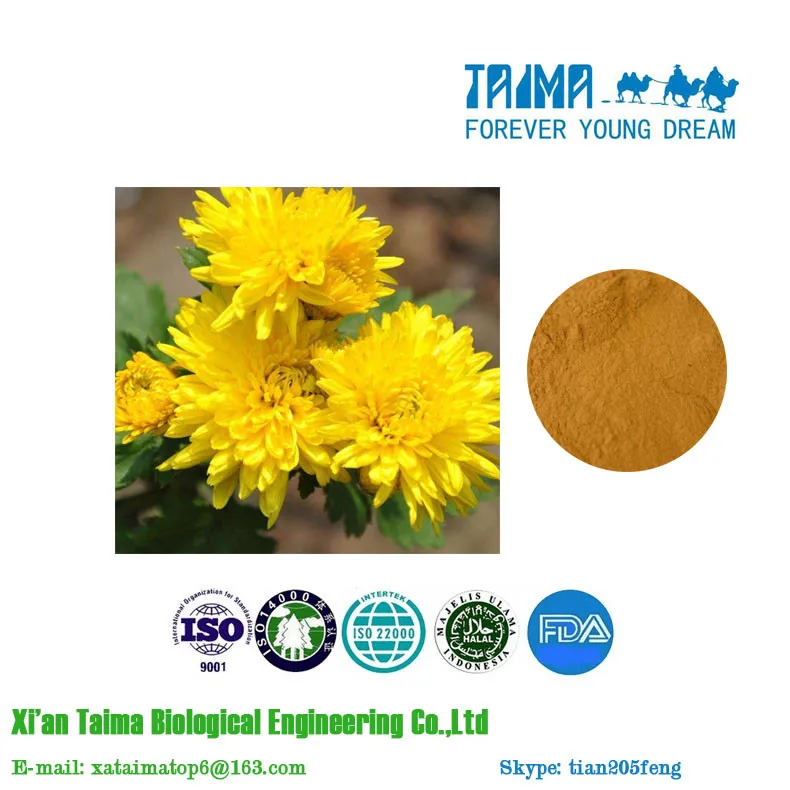 Chrysanthemum Extract Powder 51 Buy Indicis Extract,Indicis Extract
