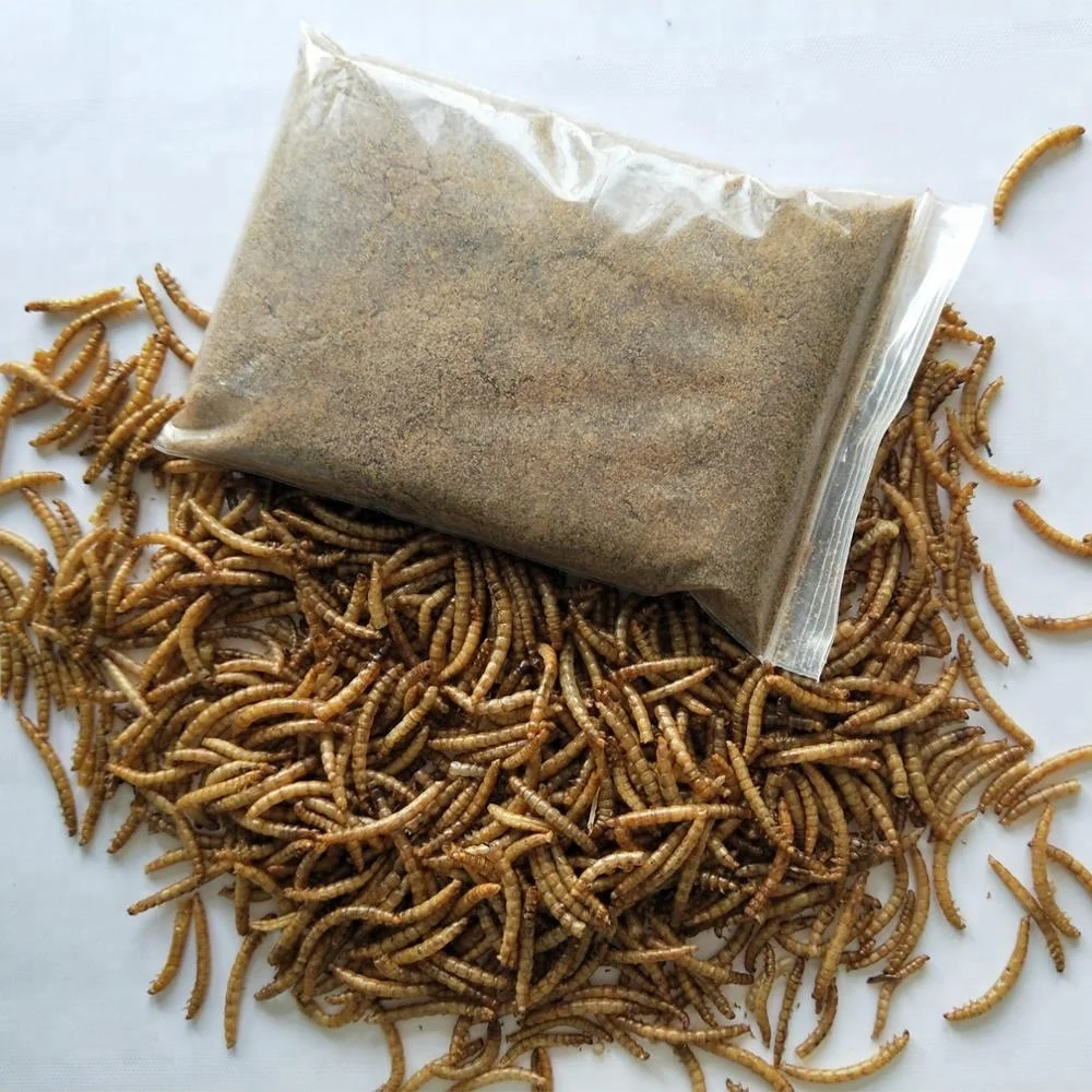 Stingray Feed,Mealworms For Rare Fish Feed,The Top Popular Feed For