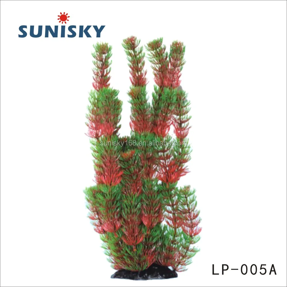 LP-005A.jpg