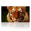 3D Abstract Print Painting Of Animal Cute Tiger Picture On Canvas Ready to Hang