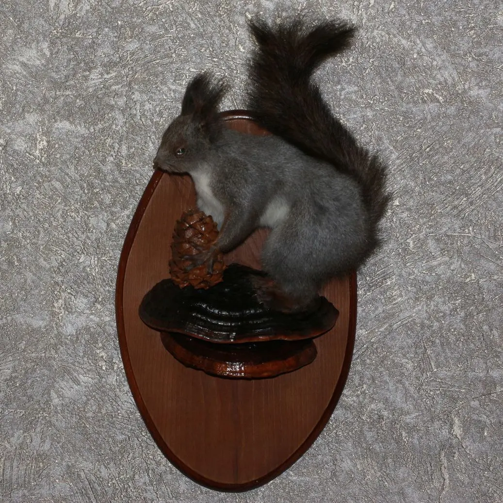 gray squirrel stuffed animal