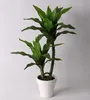 artificial potted landscape magnolia tree