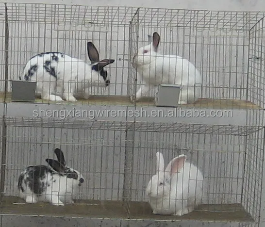 rabbit cage low price